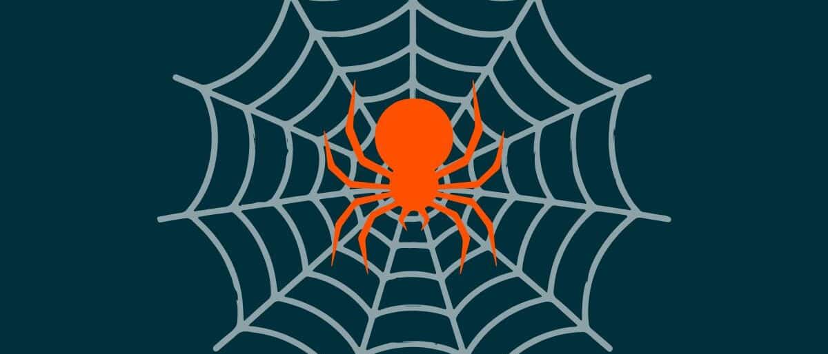 Oranje spin in witte web met blauwe achtergrond