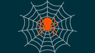 Oranje spin in witte web met blauwe achtergrond