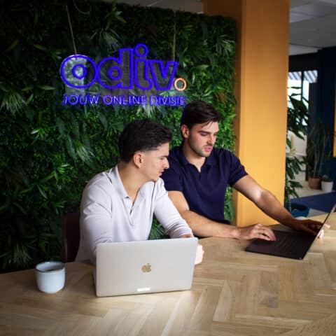 Getinte man en witte man kijkend naar laptop