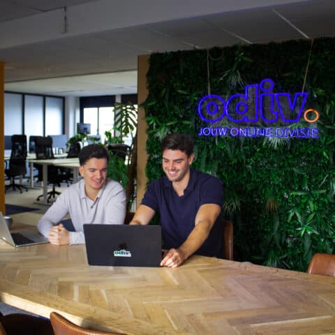 Getinte man en witte man kijkend naar laptop