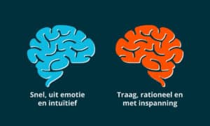 Linker brein lichtblauw en rechter brein oranje op donker blauwe achtergrond
